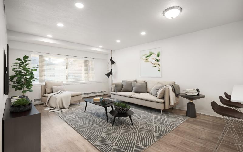 a living room with a rug and a rug